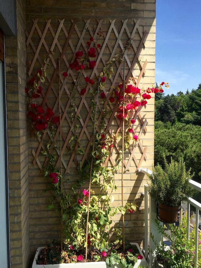 Happy Holiday In Rome B&B Exterior photo